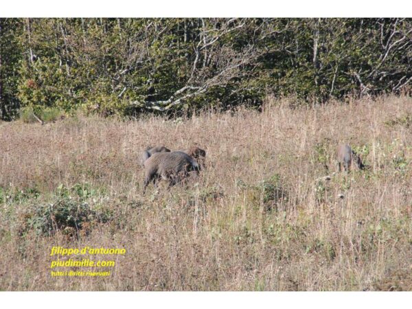 escursionismo in Appennino