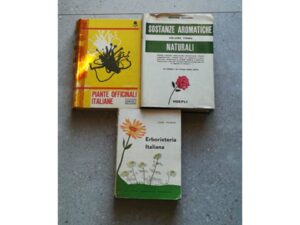 Diapositiva9