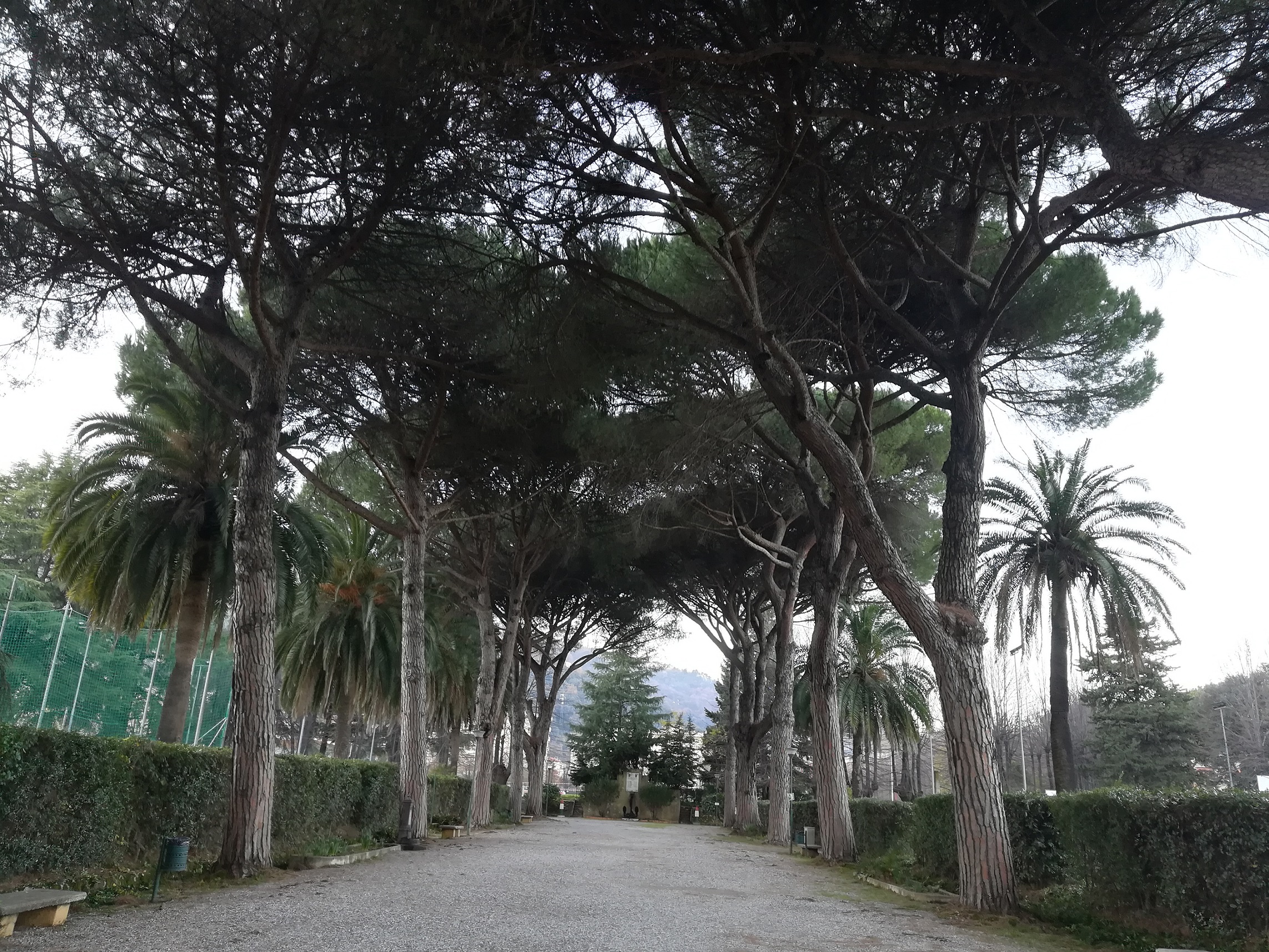 urban forest bathing la spezia