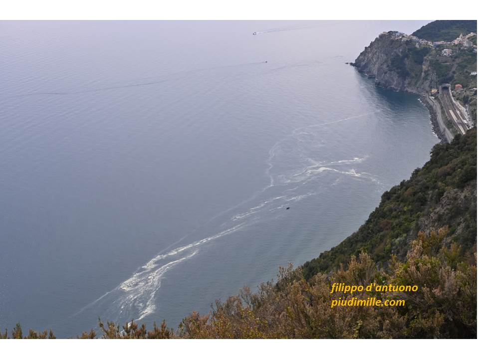 polline sul mare