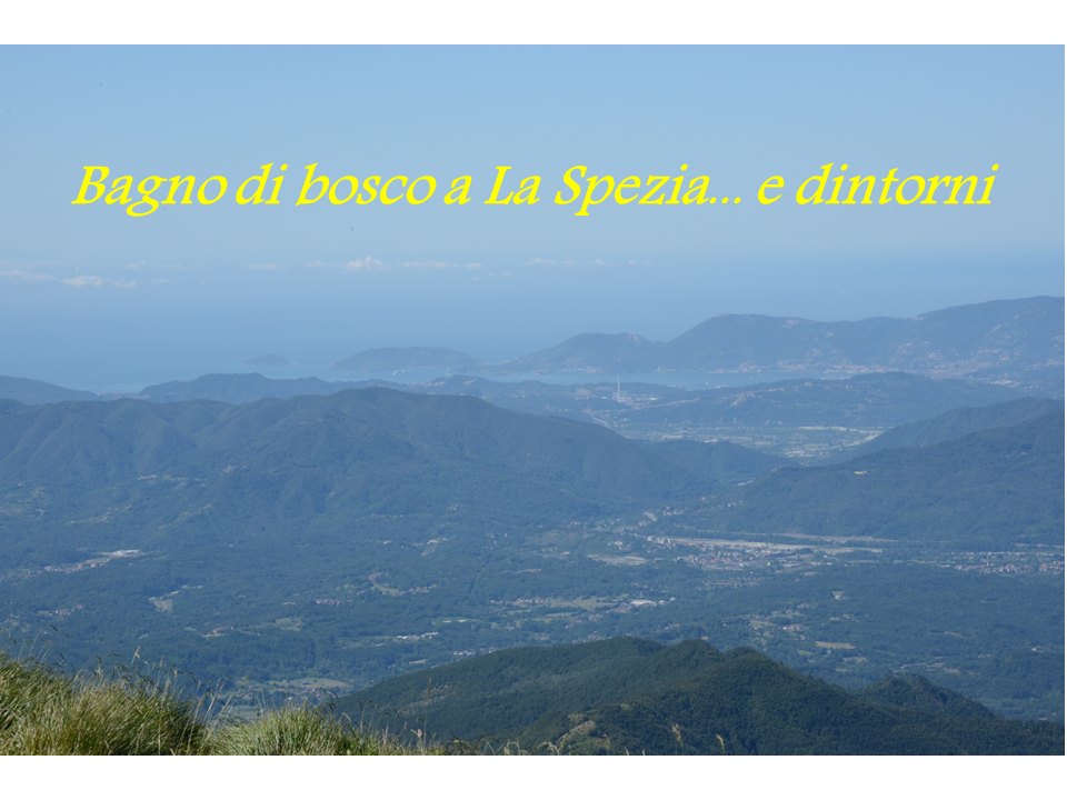 Bagno di bosco a La Spezia: tre eventi inaugurali